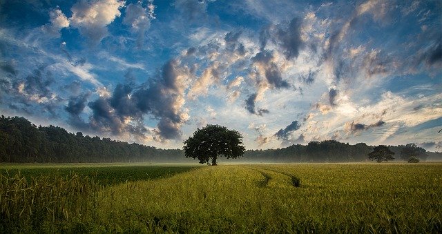 Pozemky na prodej jsou o 105,5 % dražší než v roce 2010